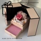 wp-17696319436904790030620048906839