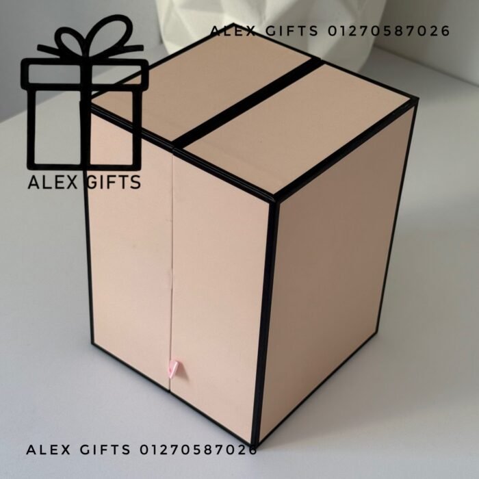 wp-17696319439541081901598178430610