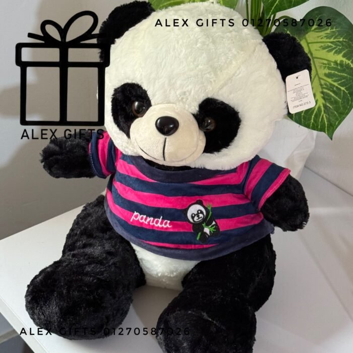 wp-17696999495736262256612395626453 wp-17696999495736262256612395626453