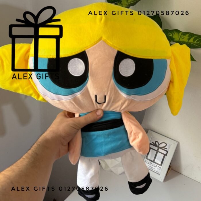 wp-1769699950694516719176723055603