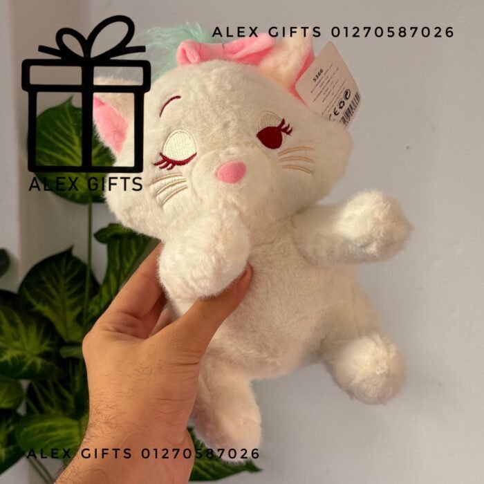 wp-1769699956220775187732088417448 wp-1769699956220775187732088417448