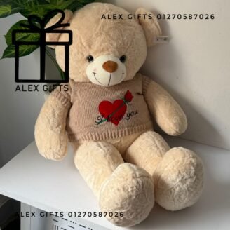 wp-17696999572857520399392869629608