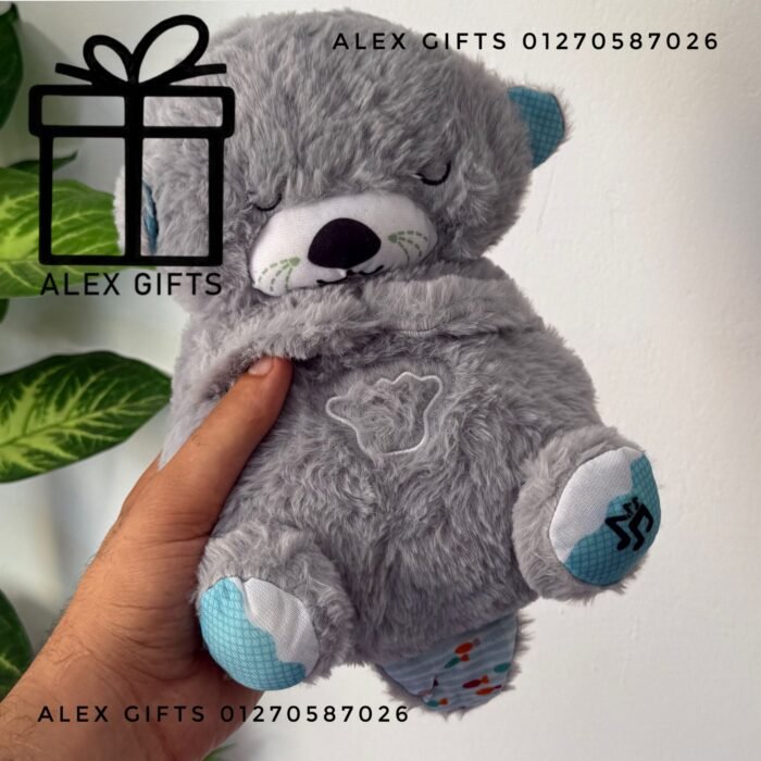 wp-17696999649592770015980503500713 wp-17696999649592770015980503500713