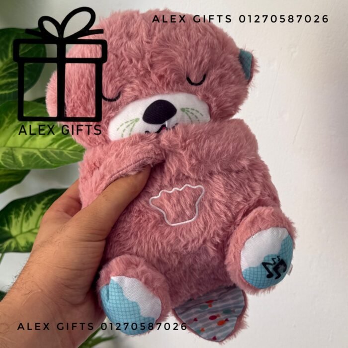 wp-17696999652331709226295029605402 wp-17696999652331709226295029605402