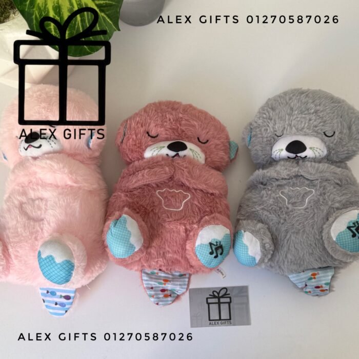 wp-17696999655793433987218607919361 wp-17696999655793433987218607919361