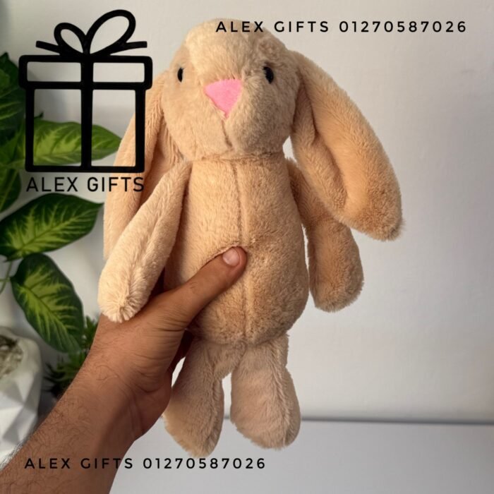 wp-17696999664122406565187351527746 wp-17696999664122406565187351527746