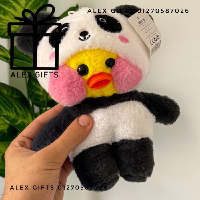 wp-17696999717077451511413352454925