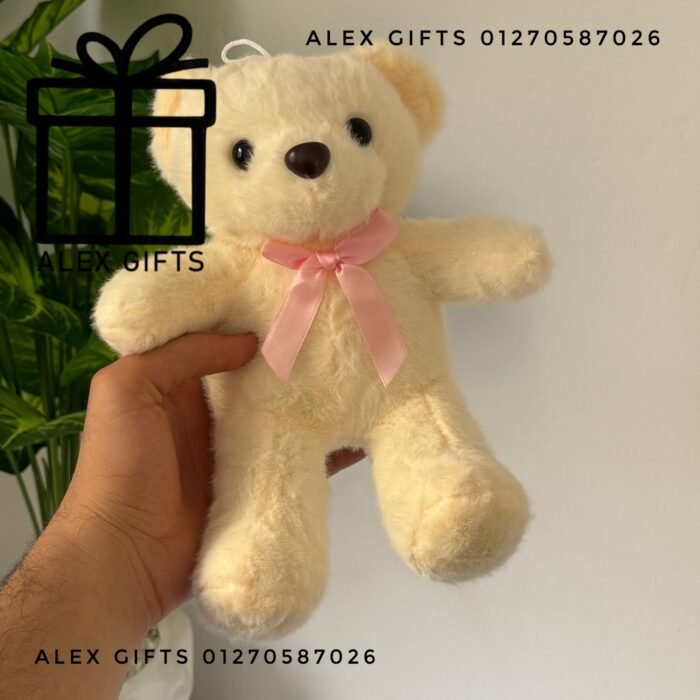 wp-17696999744496339418688229364543