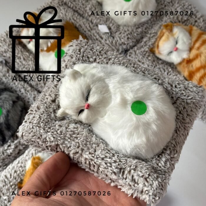 wp-17698975399728108313449192400547 wp-17698975399728108313449192400547