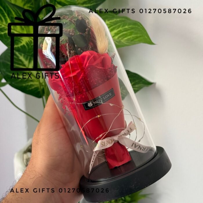 wp-17700369064093793443769776922286 wp-17700369064093793443769776922286