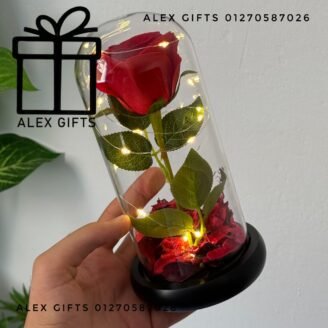 انتيكا وردة مضيئة 🌹✨